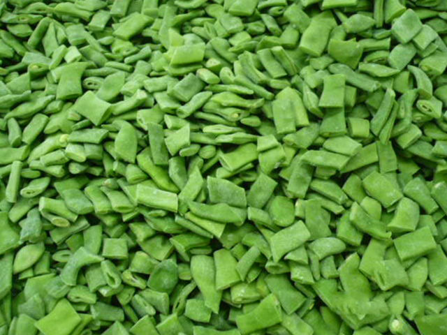 羅馬豆