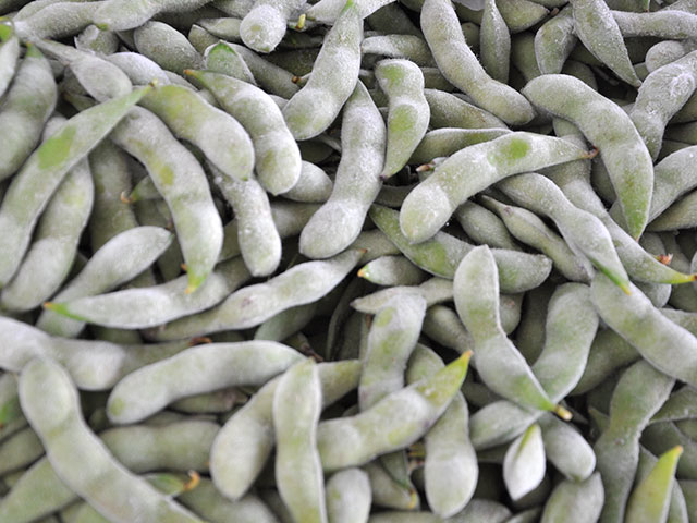 毛豆莢