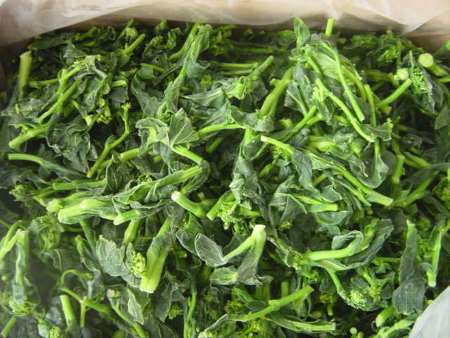 油菜花