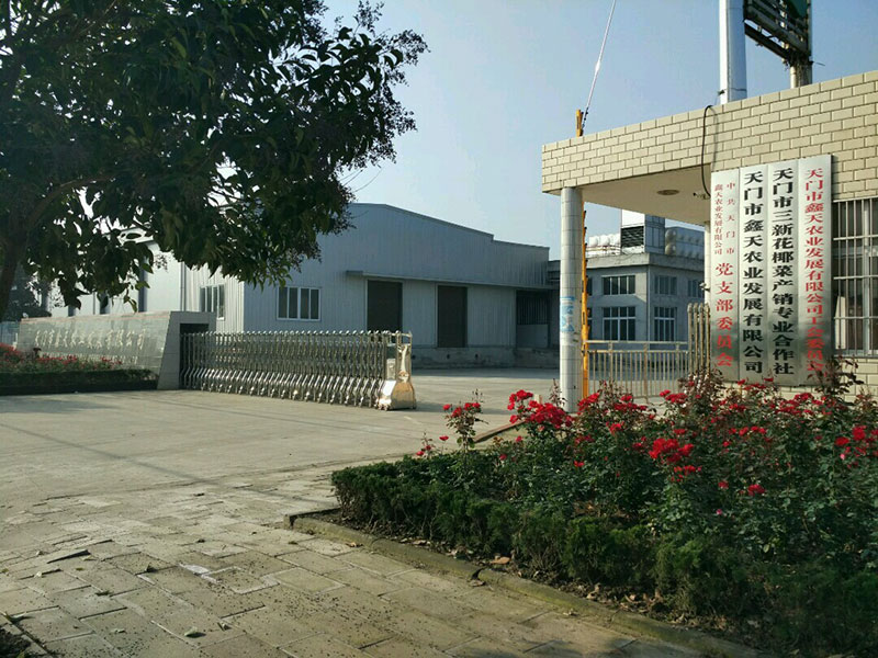 鑫天農(nóng)業(yè)大門(mén)外景展示